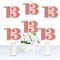 Big Dot of Happiness 13th Pink Rose Gold Birthday - Decorations DIY Happy Birthday Party Essentials - Set of 20